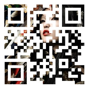 Is QR The Way, Or Should Other High Res Barcode Standards Be Considered?