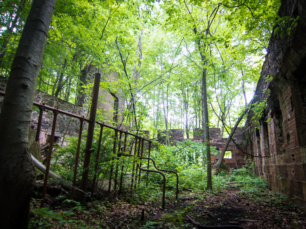 Exploring the Ruins of the Cornish Estate Dairy Farm