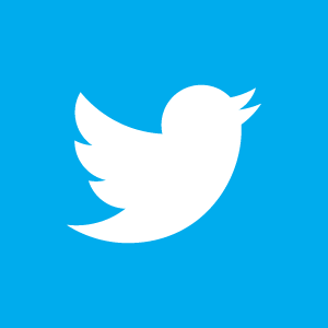 The New Twitter Bird Logo Explainer Is A Nod to the Pepsi Logo PDF