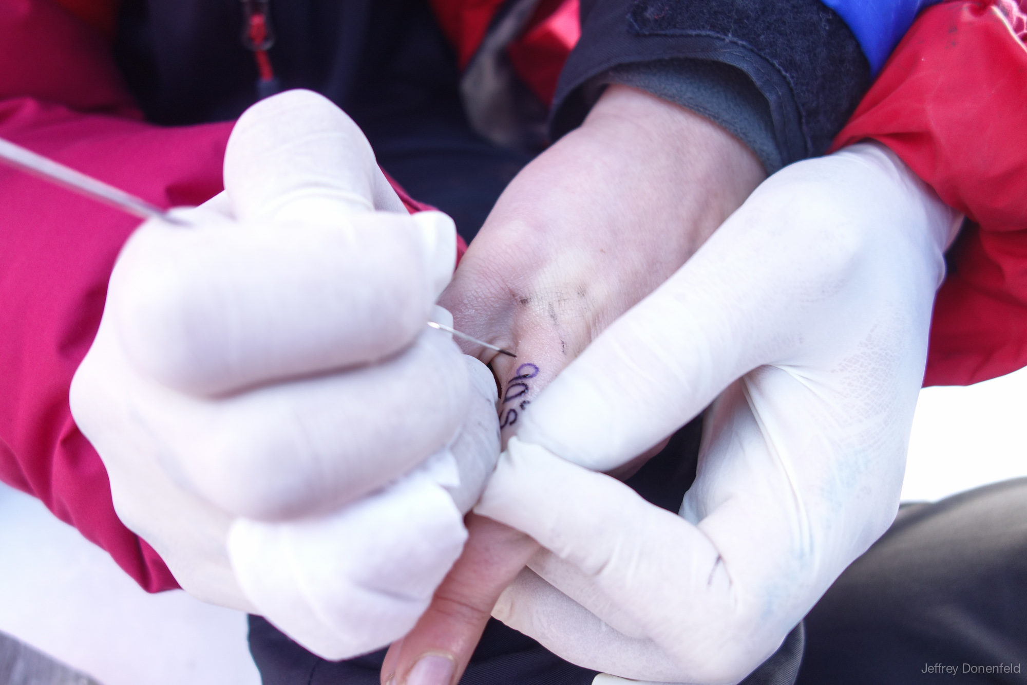 Tattoos At The South Pole