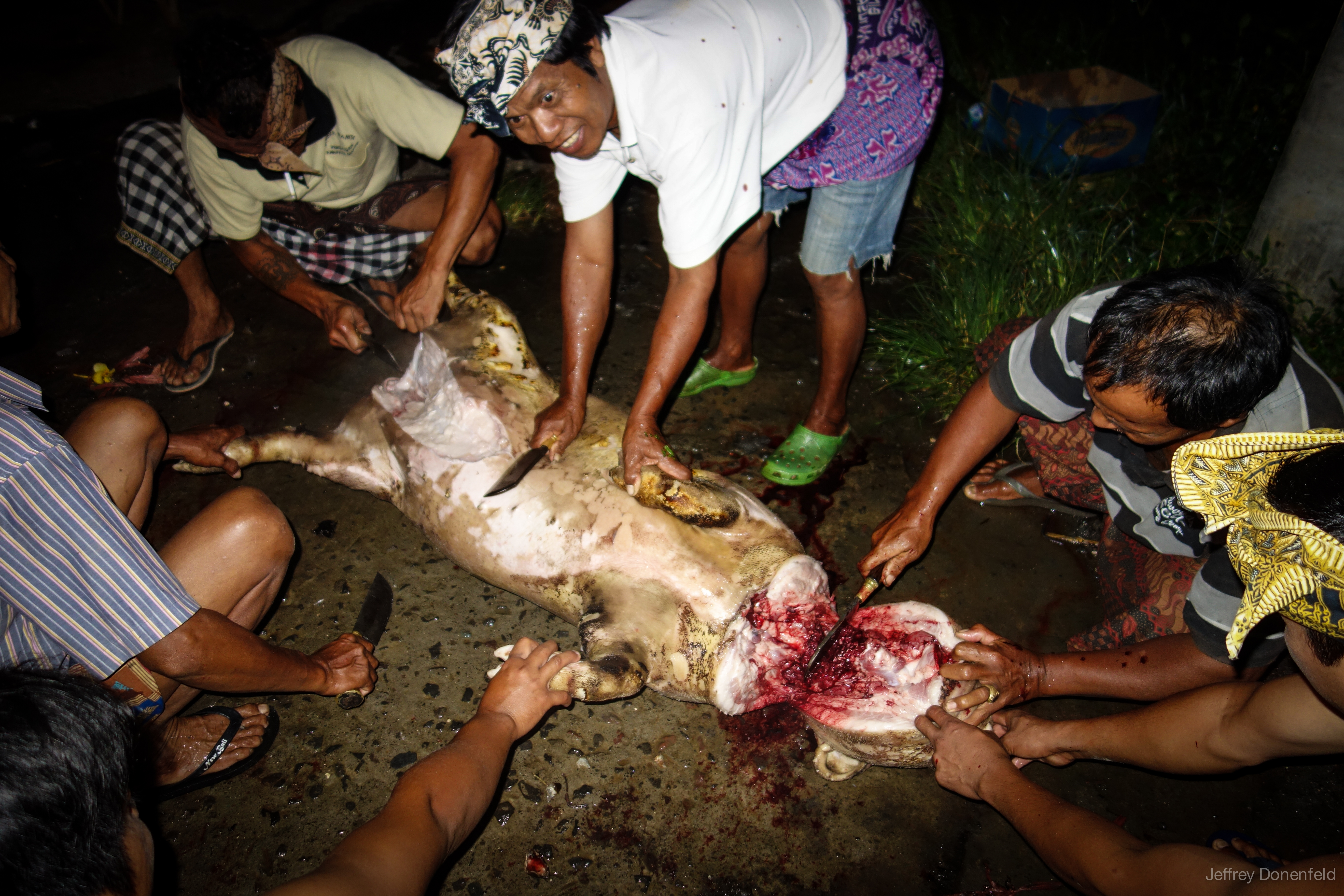 Balinese Wedding Prep: Pig Slaughter