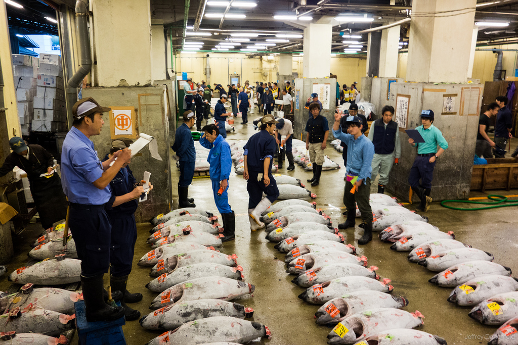 Pre-Dawn at the Tsujiki Fish Market, Tokyo