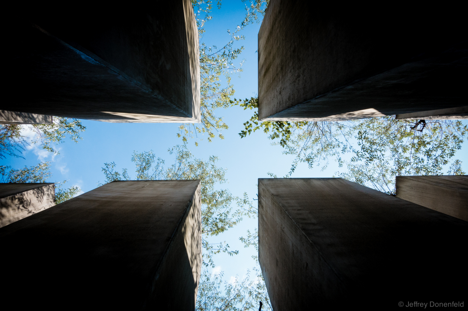 Garden of Exile, Berlin.