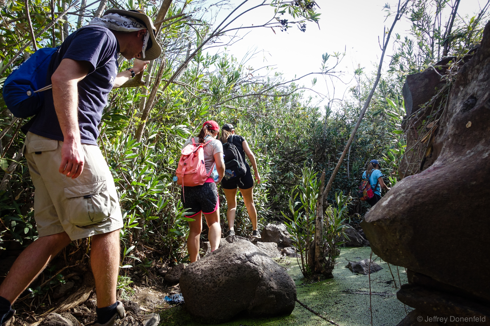 Hiking in the beautiful mountains in the Golan Heights, Israel. Despite the hot climate, there were plenty of marshes, springs, and swimming holes.