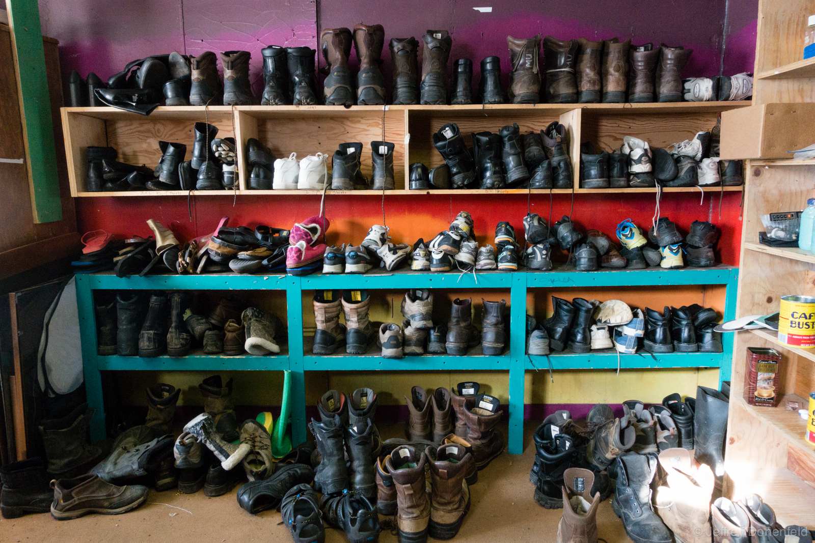 An Antarctic Thrift Shop: McMurdo’s Skua