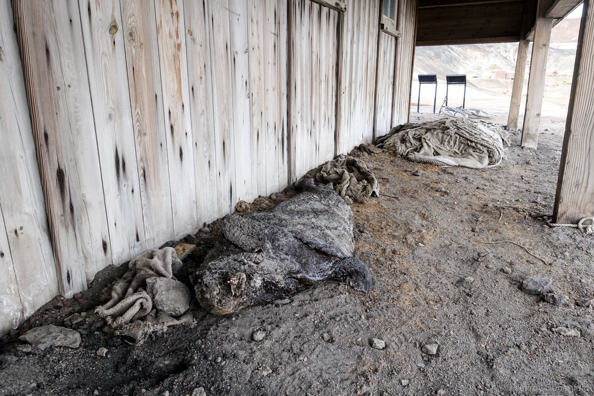 Inside Captain RF Scott’s Discovery Hut, Hut Point, Antarctica