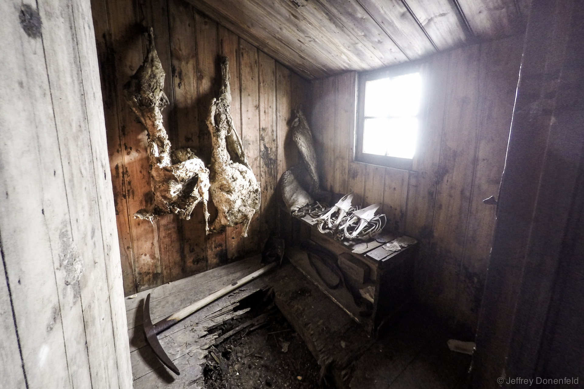 Inside Captain RF Scott’s Discovery Hut, Hut Point, Antarctica