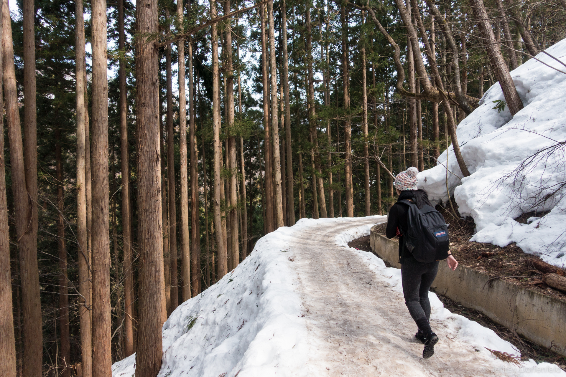 Starting the hike up the snowy path leading to the Snow Monkey Onsen.