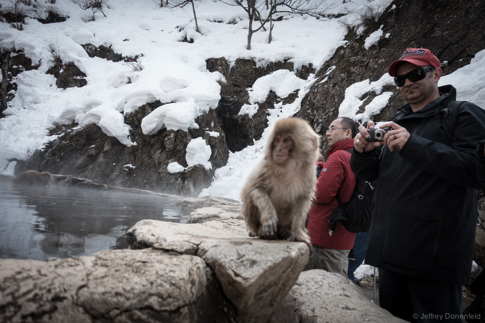 Lots of snow monkeys, lots of tourists, lots of photos.