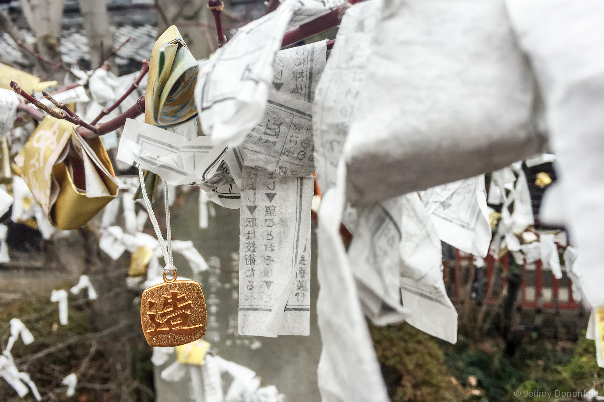 Coins and papers tied to a tree for luck at the Zenkoji Temple, Nagano, Japan